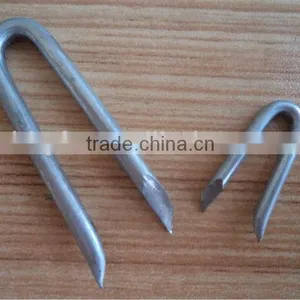 U Type Steel Nails China Supplier thumbnail-1