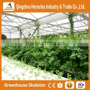 Heracles Trade Assurance Agricultural Commercial Greenhouse for Sale thumbnail-4