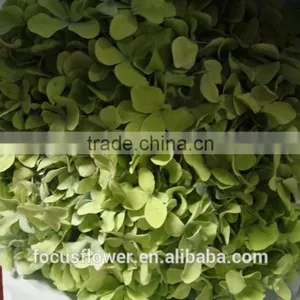 Artificial Green Hydrangea Flowers Trade From Yunnan China thumbnail-2