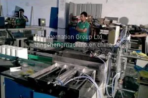 Automatic Toilet Paper Multi Rolls Packaging Machine for Two Layers thumbnail-1
