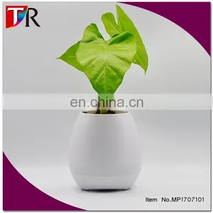 Office Decompression Toy Bluetooth Music Pots Manufacturer Custom Smart Music Flowerpot thumbnail-1