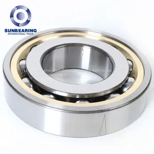 SUNBEARING 6000 Series Deep Groove Ball Bearing Stainless Steel thumbnail-1