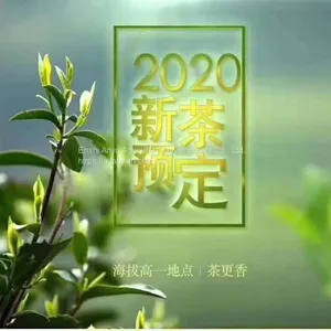 How Much is the Price of Enshi Yulu Tea? Enshi Yulu Bulk Wholesale Hubei Enshi Yulu Tea thumbnail-1