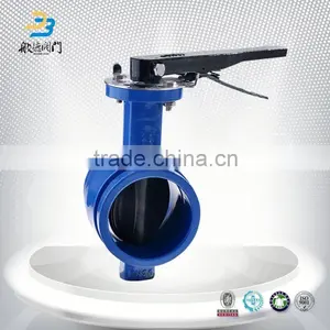 Ci Groove Valve Video Butterfly Valve Without Pin thumbnail-5