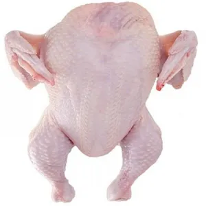 Premium Grade Fresh Frozen Chicken In A Best Rate thumbnail-4