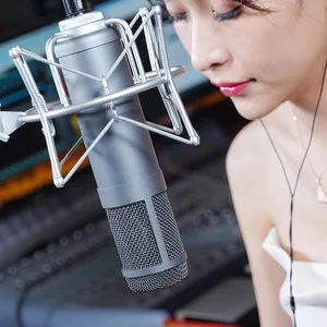 797Audio ATCR03 Vacuum Tube Condenser Interview Recording Microphone Electronics Studio Recording OEM/ODM Customized Metal 18 thumbnail-1