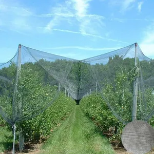Leno Weave Anti Hail Net HDPE PE Material Anti Hail Net for Orchard Farm thumbnail-1