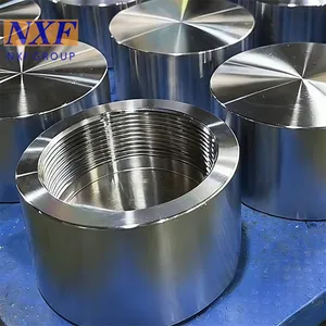 NXF UNS N10276 2.4819/NiMo16Cr15W/C276 OD DN15-1200 Class 3000-9000 Nickel Alloy Forging Technology Threaded Cap thumbnail-5