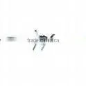 Barbed Wire thumbnail-1