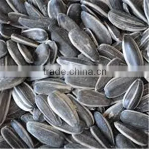 5009 Sunflower Seeds / Sunflower Seeds in Shell thumbnail-1
