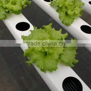 PVC Pipe List, Hose for Drip Irrigation and Hydroponic Systems thumbnail-3