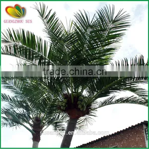 Hot Sale High Quality Artificial Mini Coconut Palm Tree thumbnail-5
