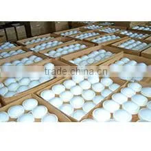 Dongguan City Zhiyu Electronic Co., Ltd. company overview - view 3 thumbnail