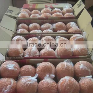 4 Inch Clean Out Ball for Washing Out Pump Pipe thumbnail-6