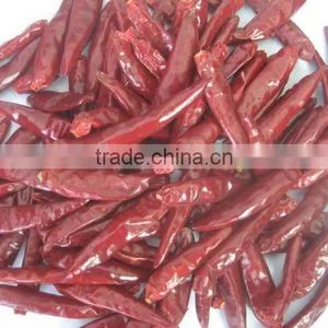 Dried Chilli thumbnail-1