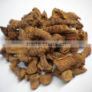 Galangal thumbnail-1