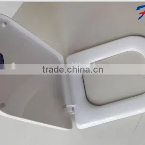 FG750PP-toilet Seat Automatic Cleaning Made in China UK Style thumbnail-2