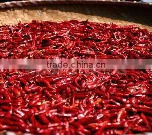 High Quanlity Dry Red Hot Chaotian Chilli Exporter From China thumbnail-1