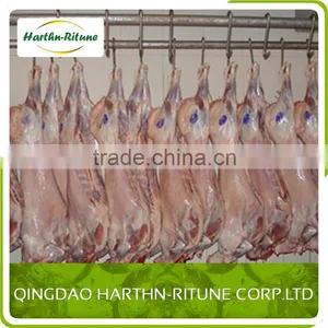 Halal Meat Wholesale Frozen Lamb Carcass thumbnail-5
