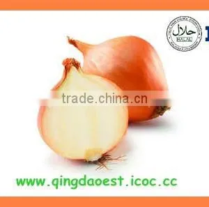 FOR SALE Export Fresh Red and Yellow Onion thumbnail-6