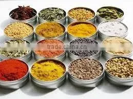 Indian Spices & Spice Powders thumbnail-5