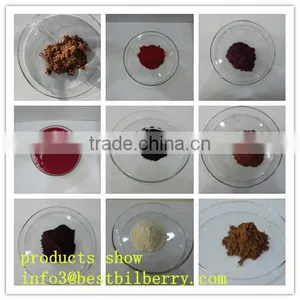 Tumeric Extract Tumeric P.e Powder thumbnail-1