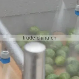 Automatic Vegetable and Fruit Apple Orange Washer Spray Washing and Drying Machine thumbnail-4