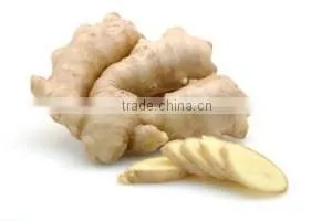 GINGER OIL BO GRADE thumbnail-1