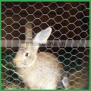 Pvc Coated Rabbit Fencing thumbnail-1
