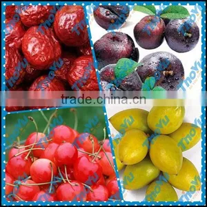 Cherry Pit Remove Machine thumbnail-1