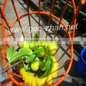 Picker (GZ-F001) thumbnail-1