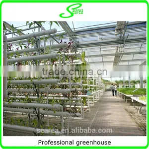 High-tech Greenhouses and Hydroponic Systems for Professional Growers thumbnail-1