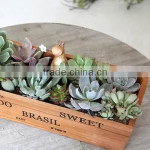 Creative Succulent Plant Rectangle Garden Woood Planter thumbnail-2