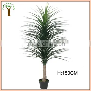 Artificial Nolina Recurvata Plant in 5' Tall thumbnail-1