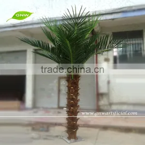 GNW APM027 12ft Tall Palm Tree in Aquatic Plants Made in China for Wholesale thumbnail-2