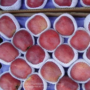 Chinese HuaNiu Apple thumbnail-2