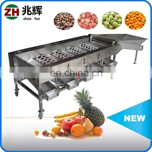 Commercial Apple Fruit Grader Apple Sorting Machine thumbnail-3