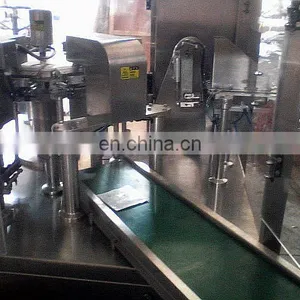 GD-8-200 Automatic Rotary Given Bag Packing Machine thumbnail-4
