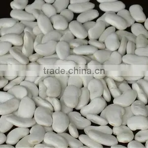 Flat White Kidney Beans thumbnail-1