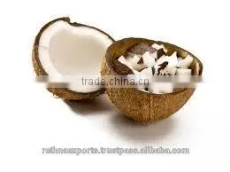 Fresh Coconut Sellers thumbnail-3
