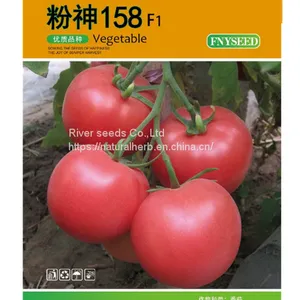 100pcs Tomato Seeds for Planting Good Prices Hybrid Tomato Seeds From China thumbnail-1