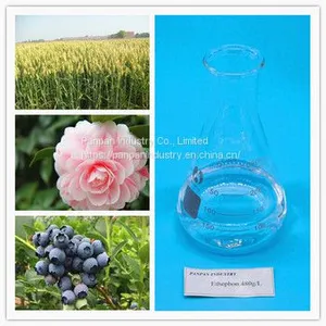 Factory Supply Pant Growth Regulator Ethephon 480g/l Ripening for Fruits and Vegetables thumbnail-3