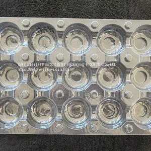 Plastic Packaging Thermoformed Blister Insert Trays thumbnail-1