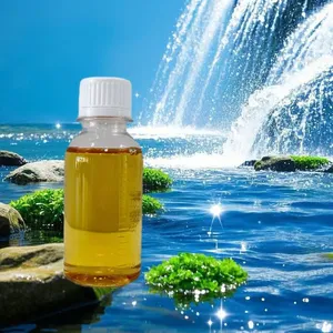 Algaecide-Pool-Chemical Busan77 Water Treatment Agent thumbnail-1