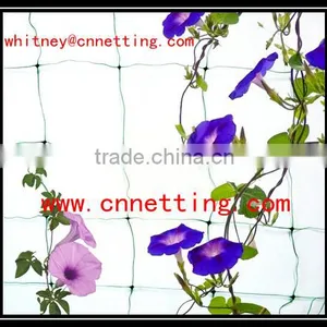 1.2x1000m 8gsm Retangle Mesh 150x170mm Tomato Wire Netting/climbing Plant Support/trellis for Climbing Plant thumbnail-4
