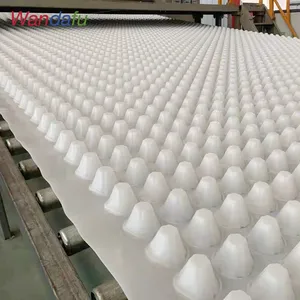 Wandafu Cost-effective Reservoir Airpoprt Artificial Lake Anti-seepage Plastic Drainage Board thumbnail-1