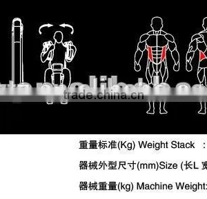 Body Building Equipment Rotary Torso / TZ-6003/Flex Gym Machine thumbnail-5