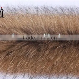 Raccoon Dog Stripes, Raccoon Dog Trimming, Raccoon Dog Fur thumbnail-1