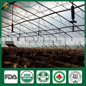 Fresh Dried Shiitake Mushroom Growing Shiitake Mushroom Log Spawn for Mushroom Farm thumbnail-4