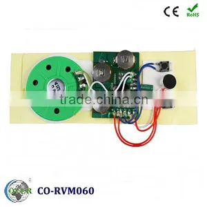 Recordable Sound Module for Music Box thumbnail-1